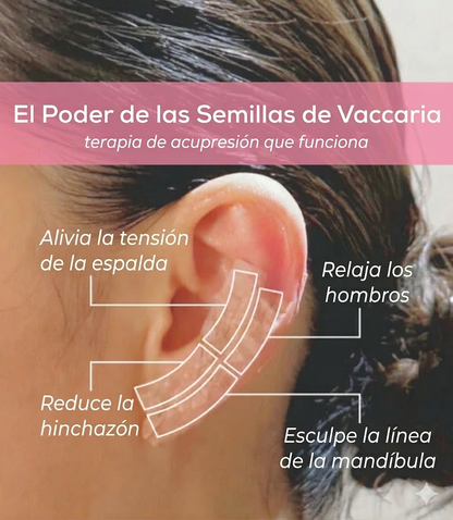 Zeen Seeds – Auricular Wellness